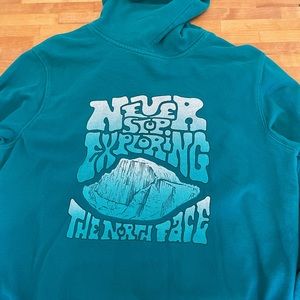 The north face logo hoodie
